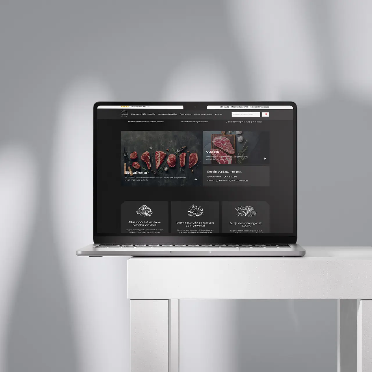 Nieuwe professionele website met webshop extensie